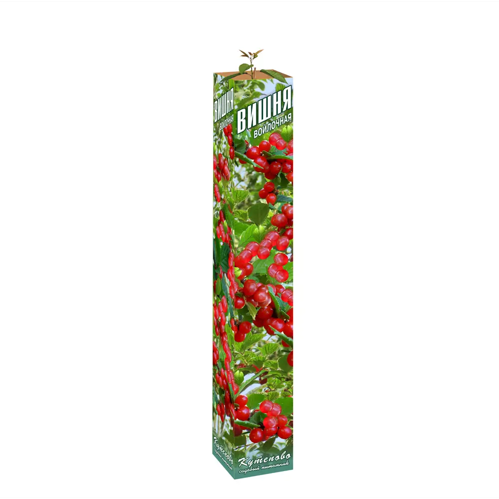 Вишня войлочная Алиса в тубе 82559153 STLM-2169762 Santreyd 