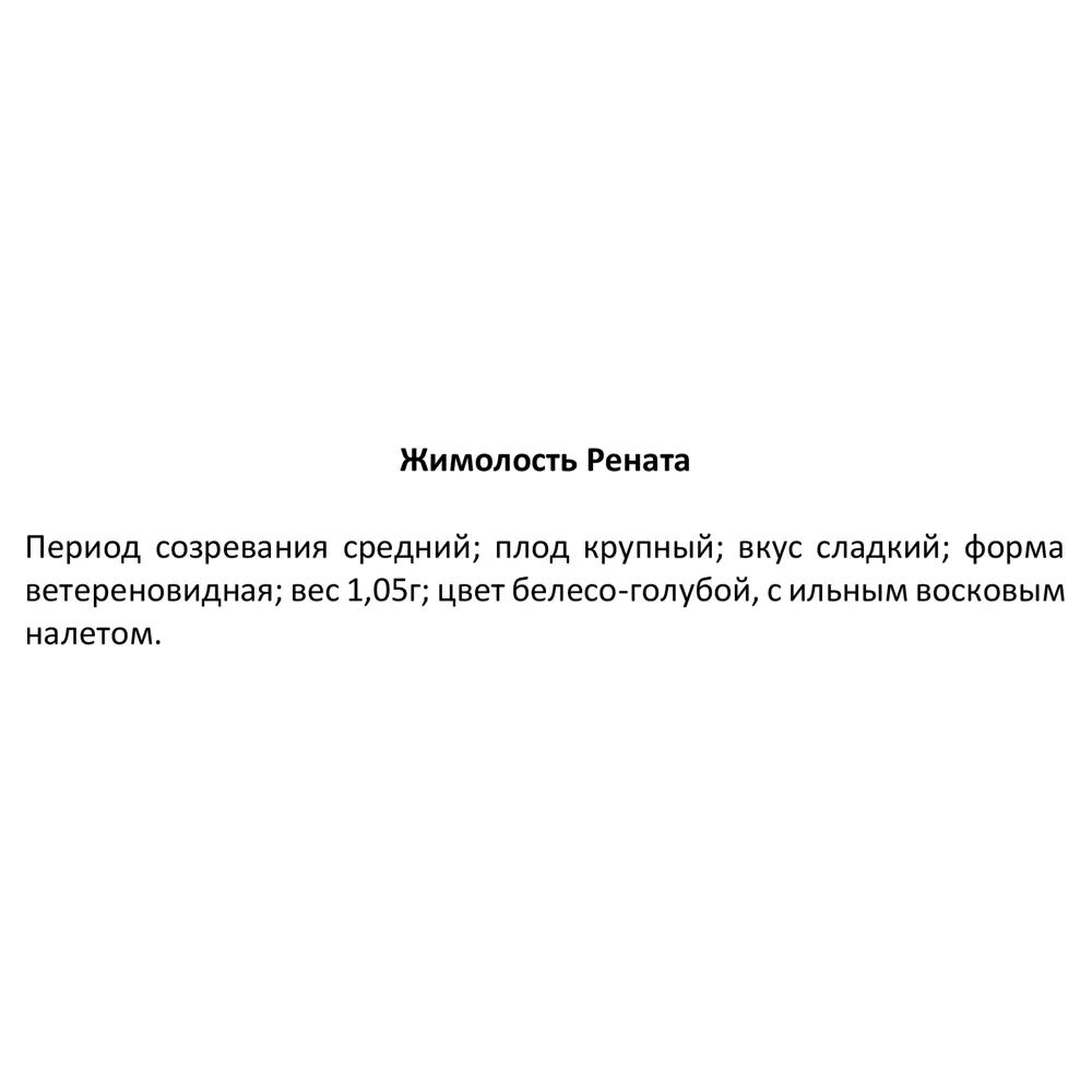 Жимолость C3.5 h80 см 83248554 STLM-2099098 Santreyd  - Вид №2