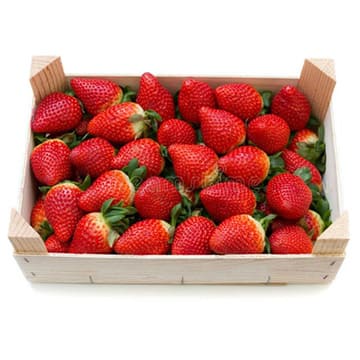 Клубника Армения в ящике ~2,5 кг Santreyd 31022