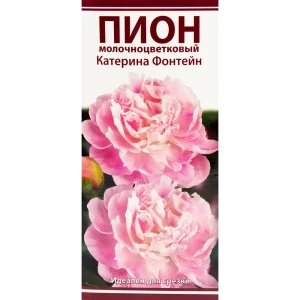 Пион молочноцветковый «Катерина Фонтейн», размер луковицы I 82319604 STLM-2158537