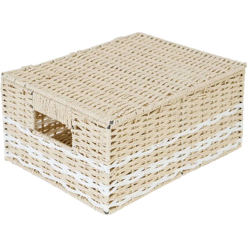 Корзина с крышкой Storidea HXL21.341 S 23x15x31 см 11 л бумага цвет бежевый 82896020 STLM-2170057