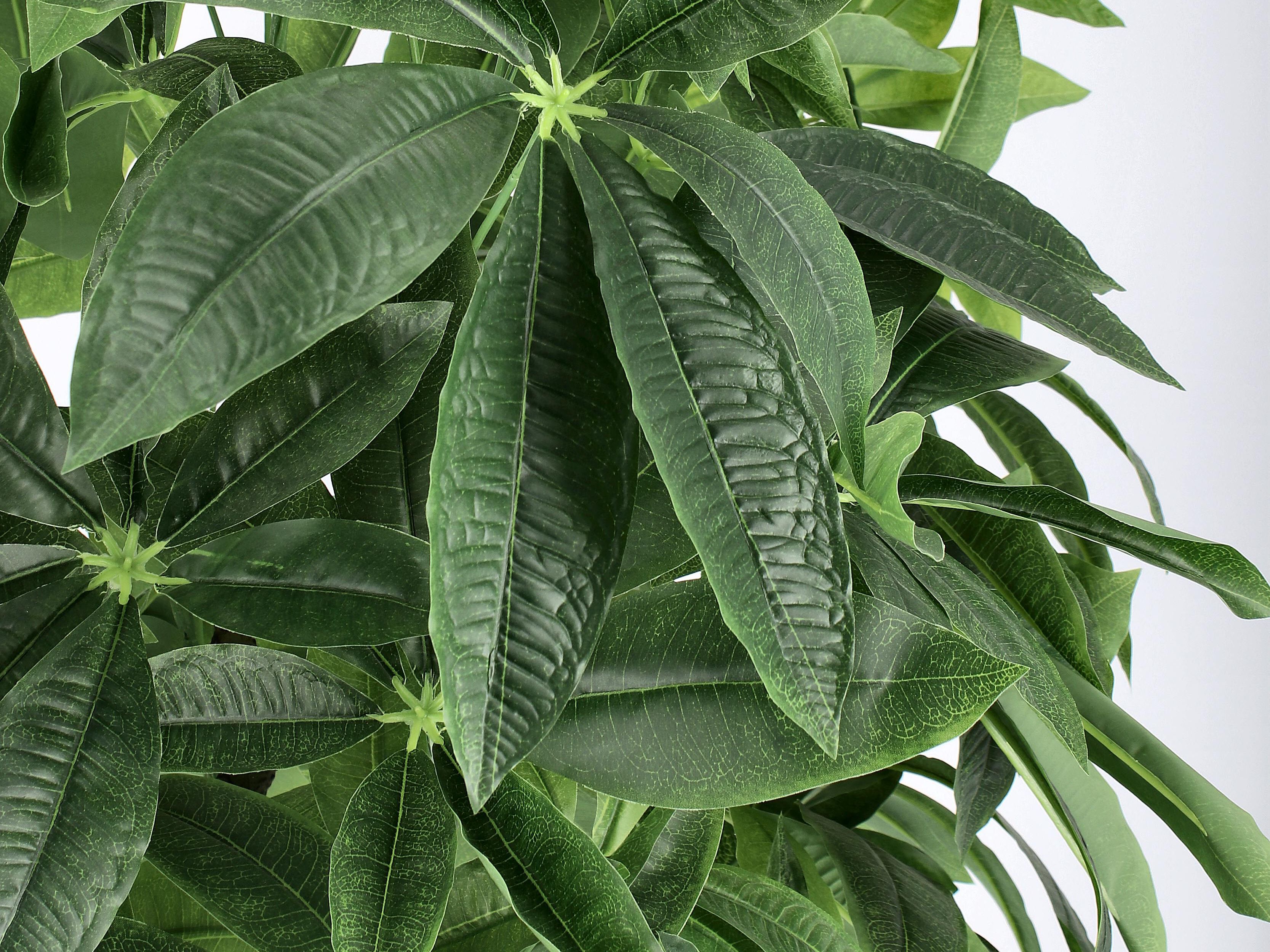 Искусственное растение BIZZOTTO PACHIRA AQUATICA H160 ARCH-00012897 - Вид №2