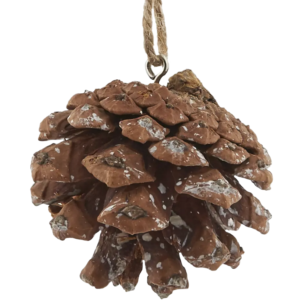 Украшение ёлочное «Шишка», 5-6 см, цвет коричневый Santreyd STLM-2161176 - Вид №1