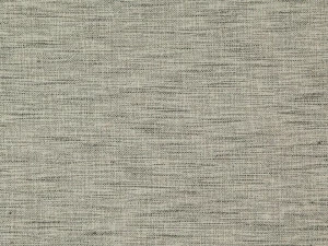 FR-One Однотонная полиэфирная ткань Gossian