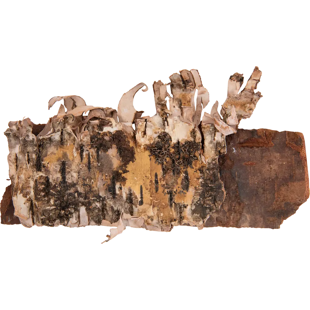 Розжиг SuperGrill сухая берёзовая кора 3.53 кг STLM-2098148 - Вид №2