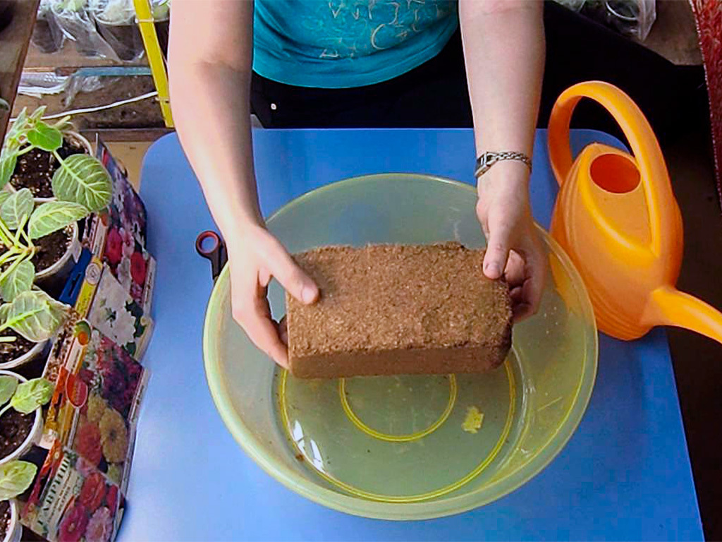 Кокосовый субстрат Орехнин, брикет 70 литров ГеоПластБорд GPBST-244 - Вид №3