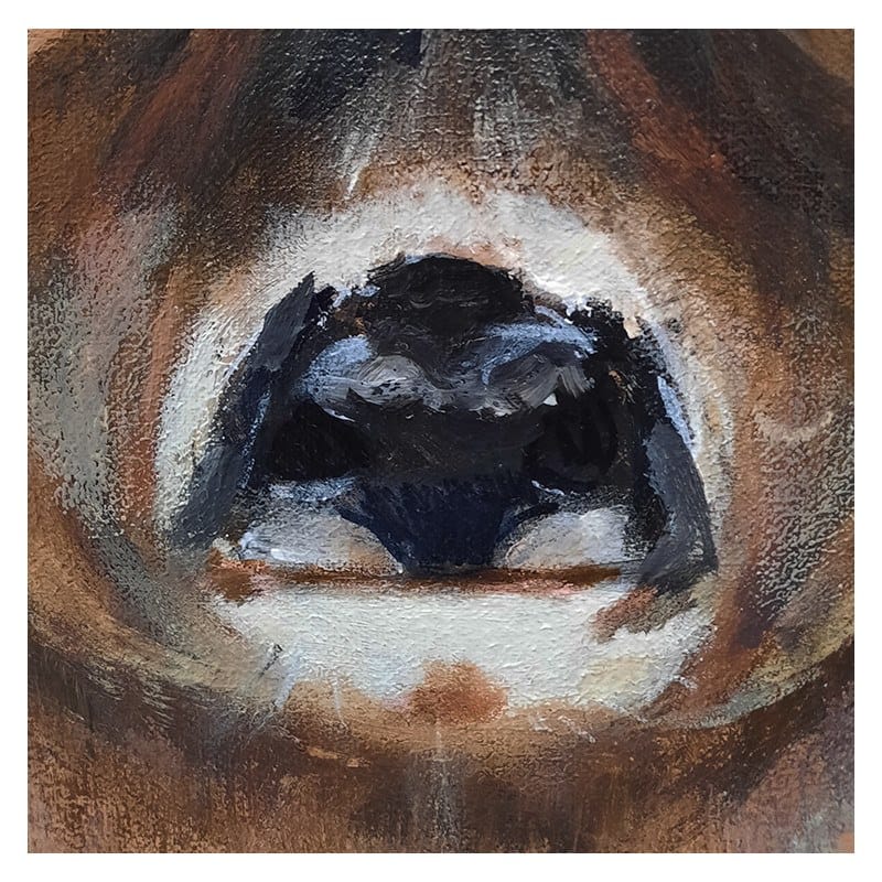 Картина ICI ET LÀ Портреты животных ARCH-00056788 - Вид №3