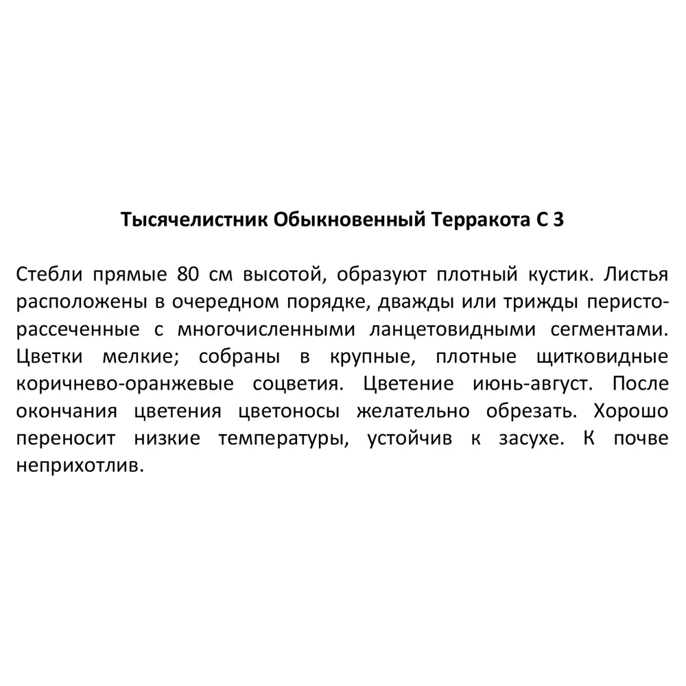 Тысячелистник обыкновенный Терракота ø14 h50 см 85324932 STLM-2122996 Santreyd  - Вид №4