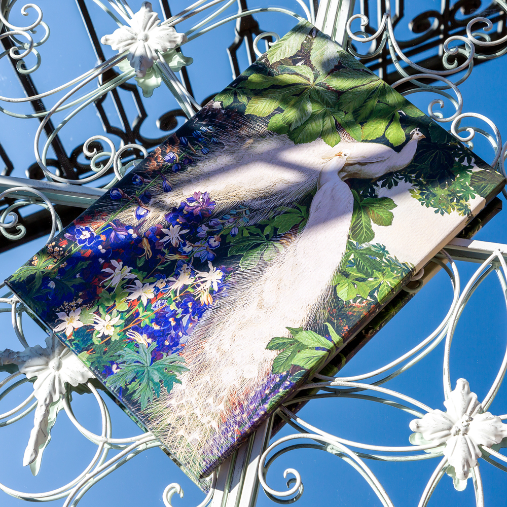 75080014 Картина «Королевский павлин», версия 2 (холст, галерейная натяжка) Object Desire  - Вид №1