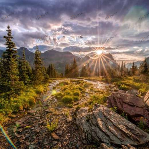 WP02029 Фотообои Verol Фотообои decoline 1х1 м