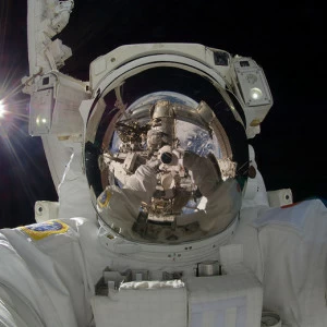 C1-121 Фотообои DIVINO Collection C 2.7х3 м