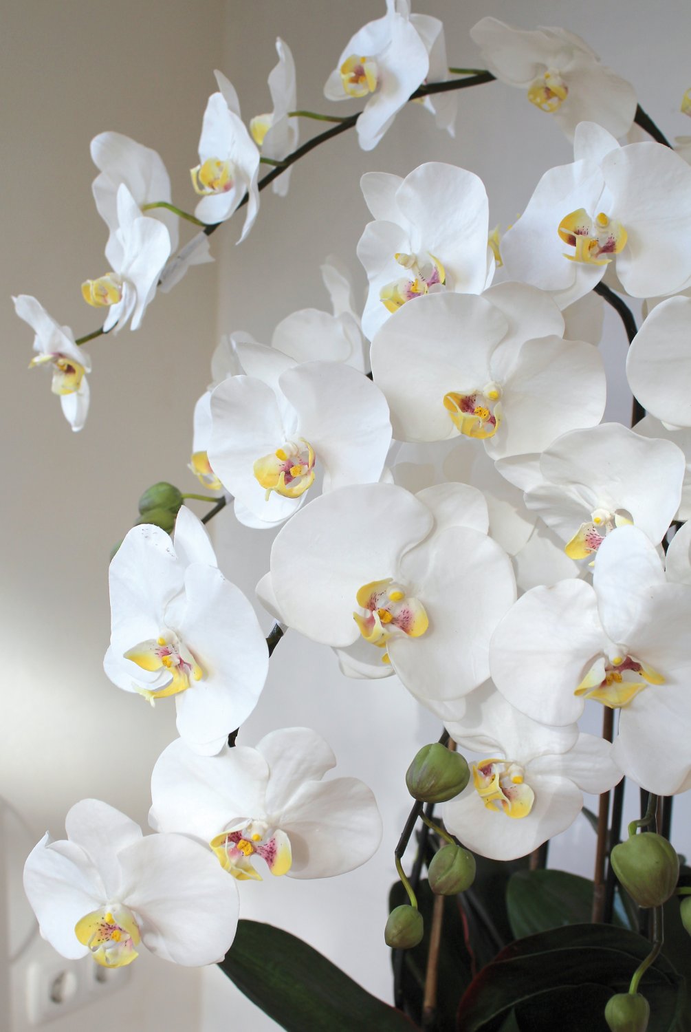 2840 778 a3 Пластиковая орхидея Phalaenopsis, 6-кратная, горшечная, 155 см, real touch, бежево-белая H-andreas 