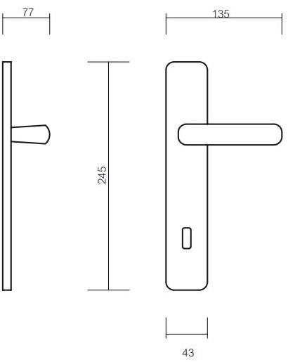 Pasini Ручка из латуни на пластине с накладкой Giza 3250  - Вид №1