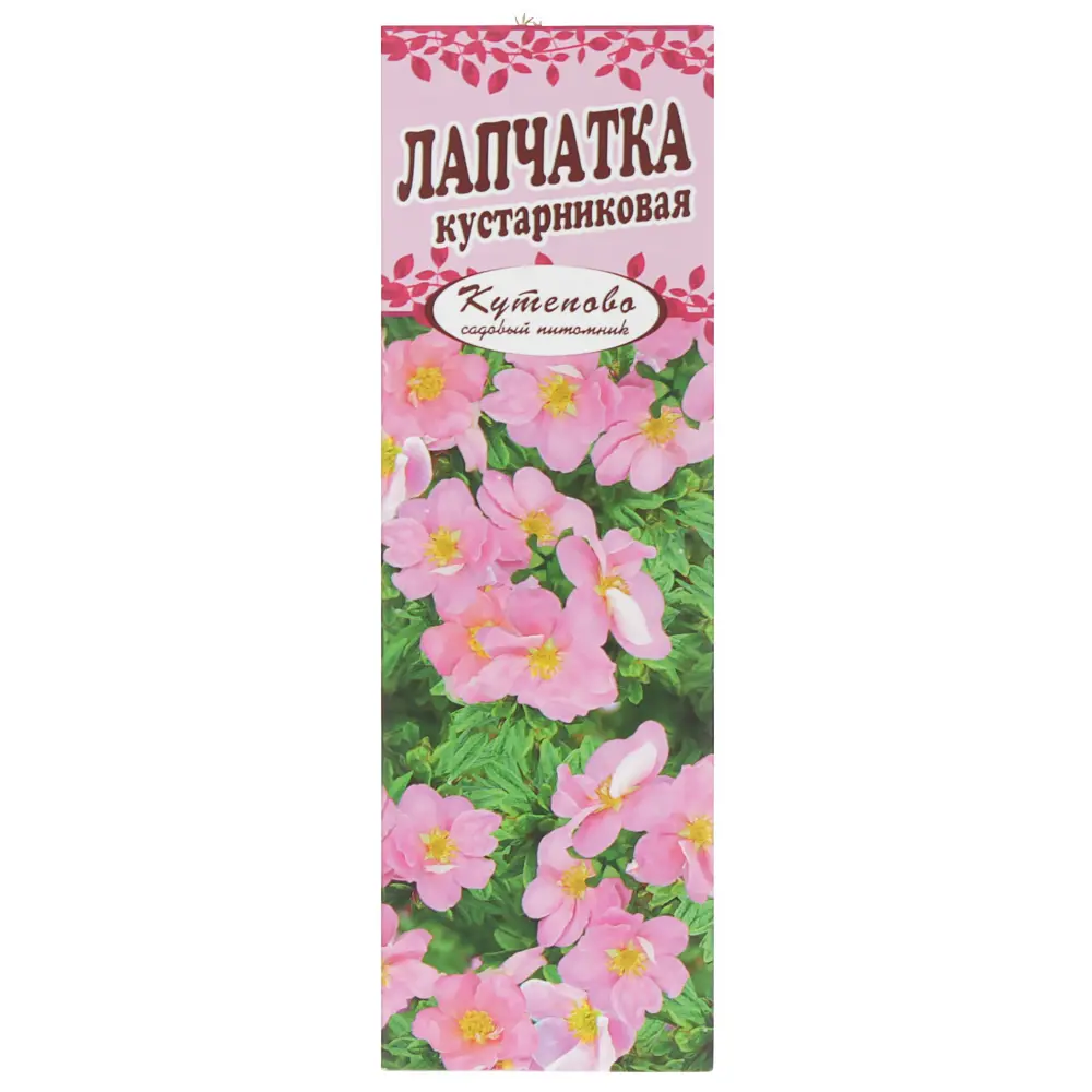 Лапчатка розовая Pink Beauty, в коробке 81959712 STLM-2102397 Santreyd 