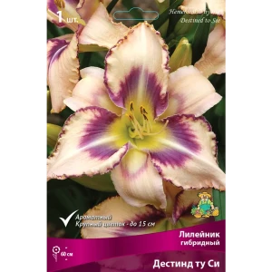 Лилейник гибридный «Дестинд ту Си» разбор I 82661823 STLM-2081930