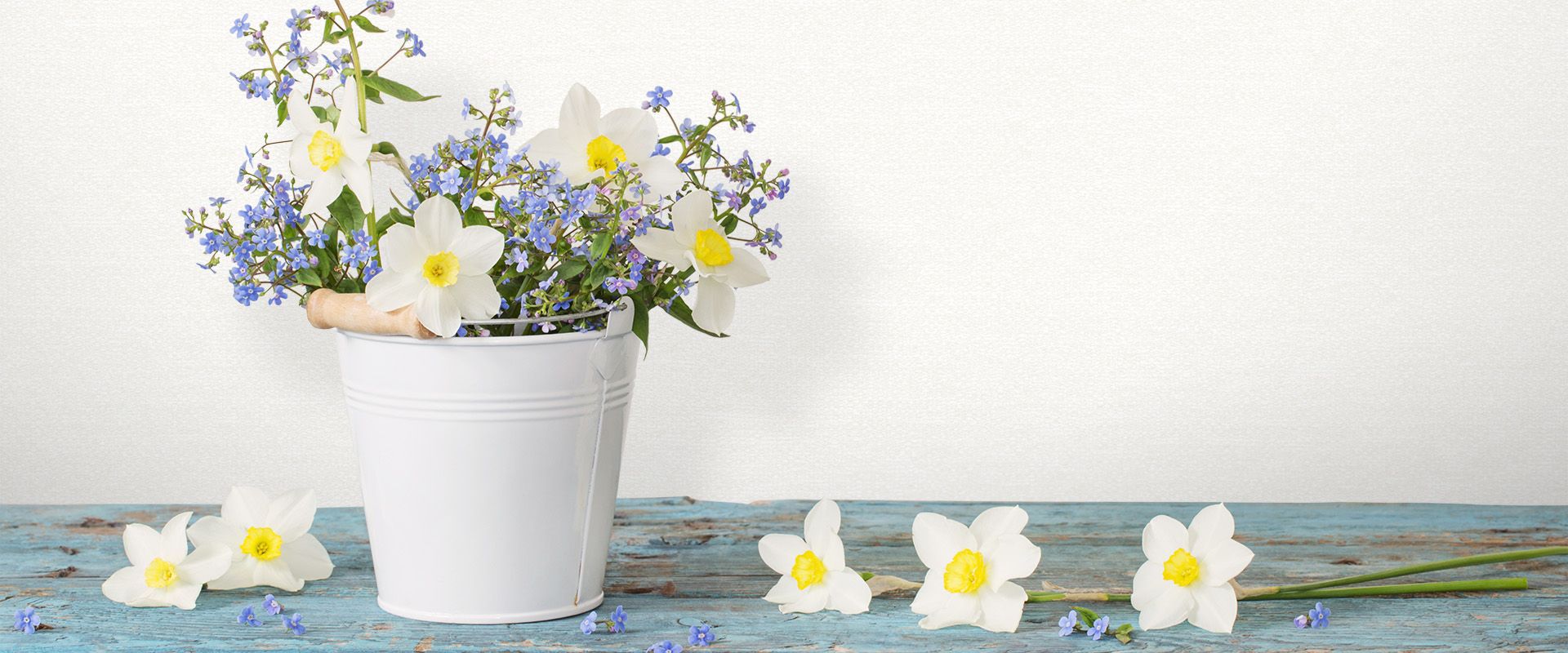 Victoria Stenova 88202 Фон NEZABUDKA 88202  - Вид №1