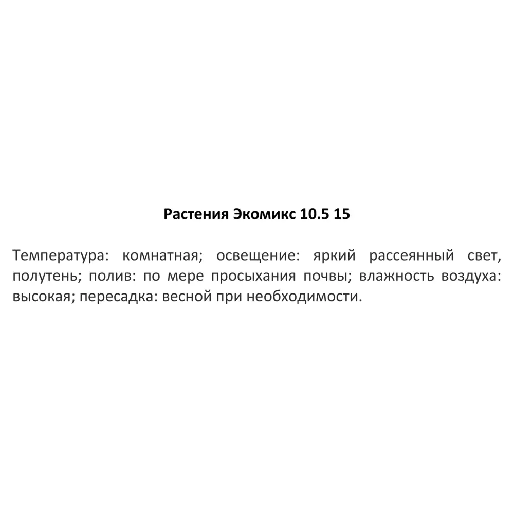 Декоративно-лиственное растение зеленое 10.ø5 h15 см 82932848 STLM-2037423 Santreyd  - Вид №3