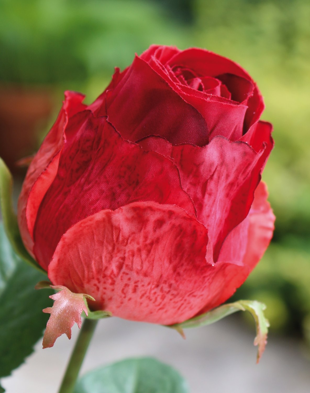 2628 444 a3 Искусственная роза, 1 цветок, 1 бутон, 80 см, красная H-andreas  - Вид №1