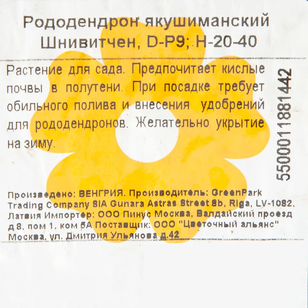 Рододендрон якушиманский «Шнивитчен» P9 82176139 STLM-2004697 Santreyd  - Вид №1