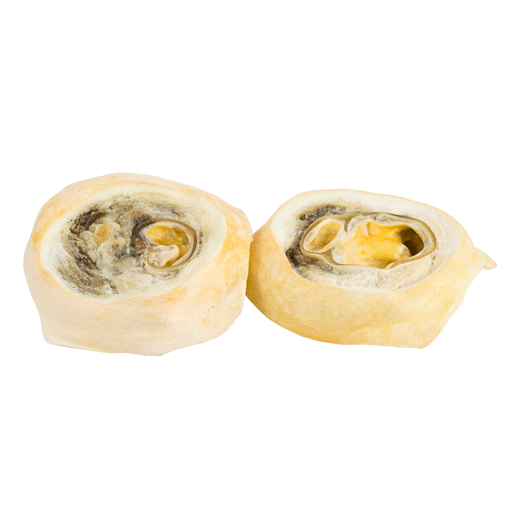 Т00009287 Лакомство для собак Ухо говяжье внутреннее TITBIT  - Вид №1