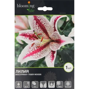 Лилия восточная «Тайгер Вудс» 82539387 STLM-2149594