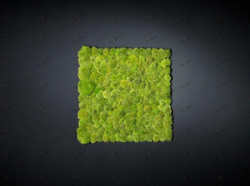 VGnewtrend Овощной каркас Vertical garden 7522714.00 