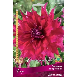 Георгина декоративная Джокондо луковица I 83593772 STLM-2198397
