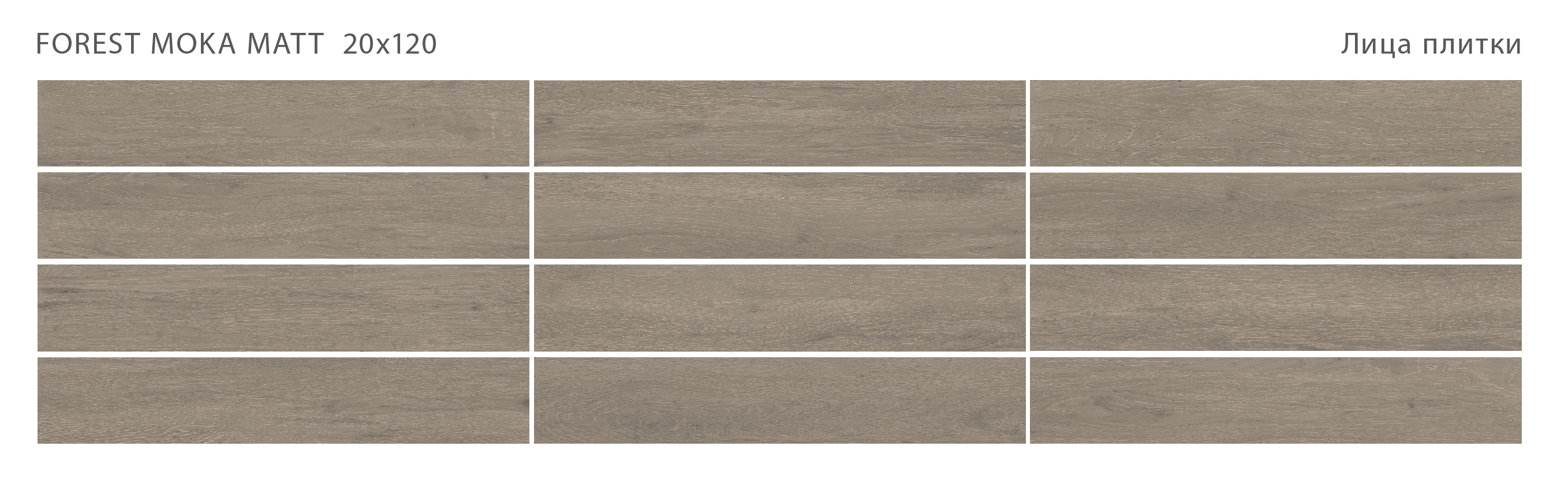 Лесное очарование: керамогранит STAROWOOD Forest STP-ST219 INCOLOR - Вид №1