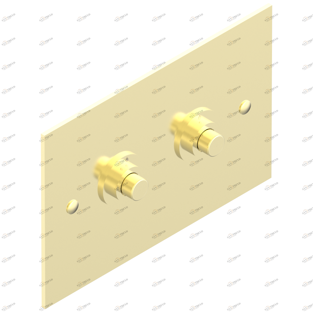 G00-219S WC Flush Plate compatible with Geberit frame Sigma UP320 Thg-paris прочие артикулы THG Покрытие PVD матовая латунь G00-219S CAT.F