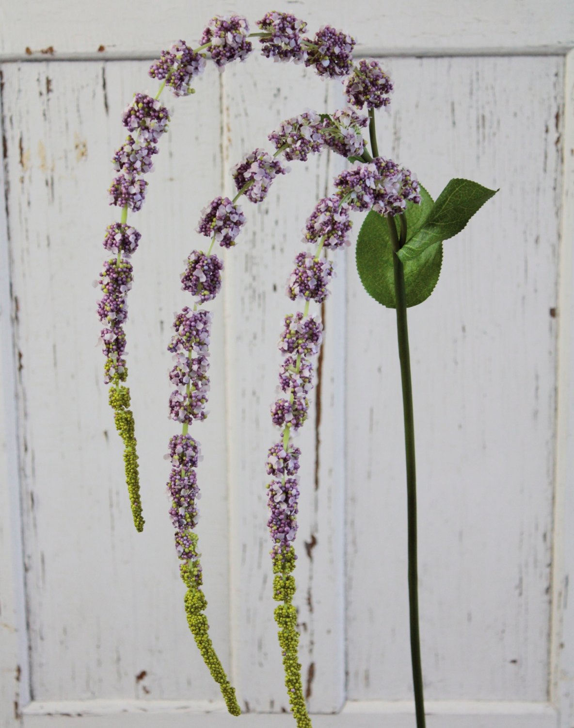 4863 208 a3 Стебель искусственного амаранта, 70 см (105 см), фиолетово-зеленый H-andreas  - Вид №4