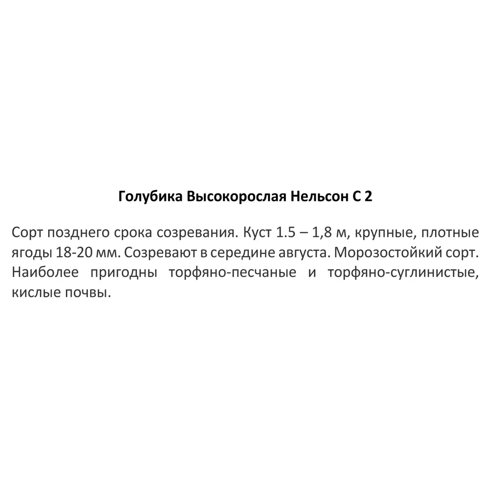 Голубика высокорослая Нельсон ø17 h30 см 85325562 STLM-2039777 Santreyd  - Вид №2