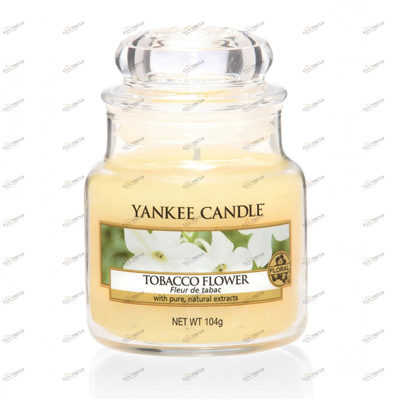 Свеча маленькая в стеклянной банке "Цветок Табака" Tobacco Flower 104гр 25-45 часов YANKEE CANDLE  267949 Желтый 