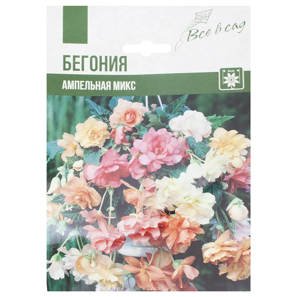 Бегония Ампельная микс 4/5 11242697 STLM-2139939 Santreyd 