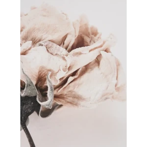 Постер Антика №2 25x35 см 88762400 STLM-2076866