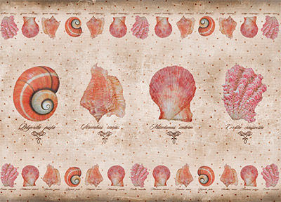 01865 Декупажная карта 21 x 29.7 см СК "Малакология мини" Чип-Арт 