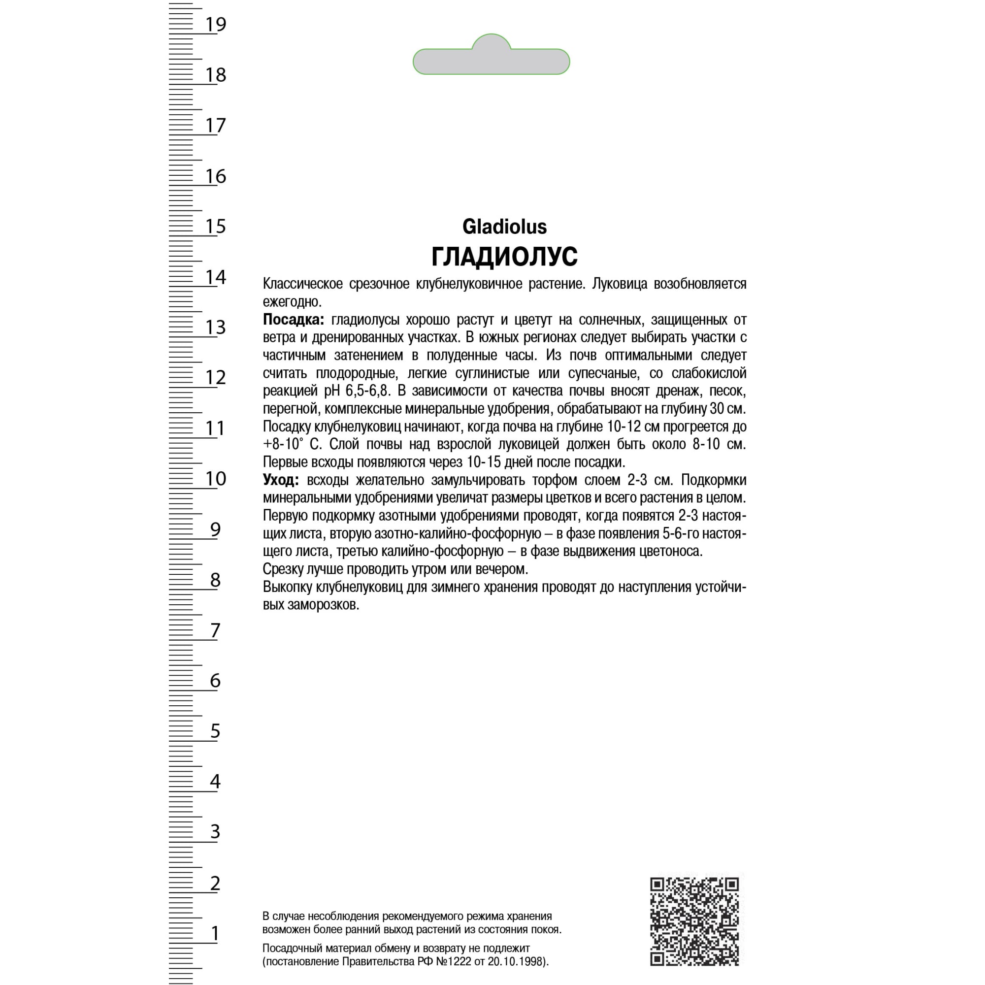 81945432 Гладиолус крупноцветковой «Блэксюрпрайз» Santreyd  - Вид №1