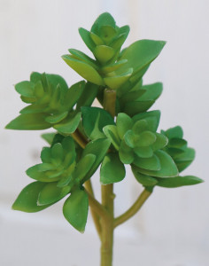 6034 888 a3 Сочные искусственные растения на палочке, 17 см, темно-зеленые H-andreas