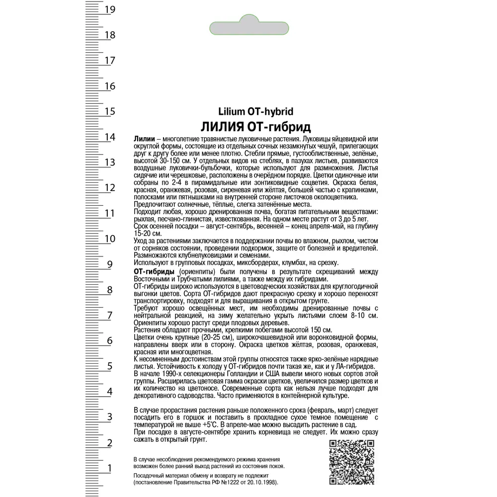 Лилия ОТ-гибрид «Мисс Пикьюлиар», высота 50 см, 1 шт. 82000191 STLM-2037515 Santreyd  - Вид №1