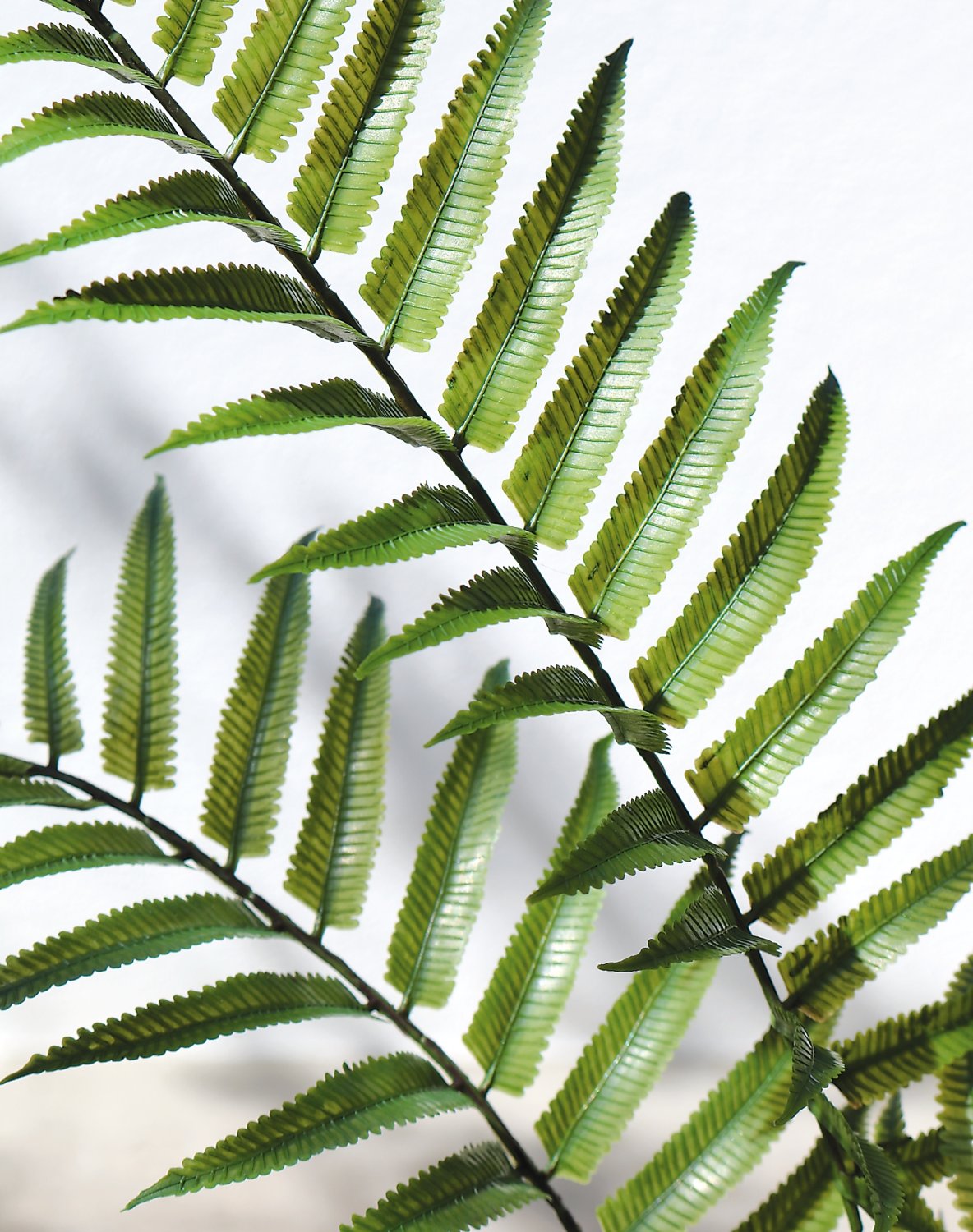 4916 883 a3 Стебель искусственного папоротника, 74 см, зеленый H-andreas  - Вид №3