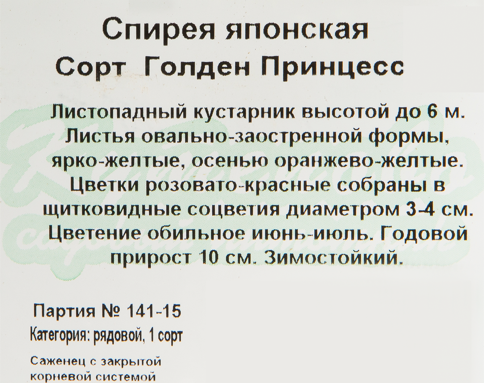 Спирея Голден Принцесс Santreyd - золотистый кустарник для сада 82594831 STLM-0030909 - Вид №1