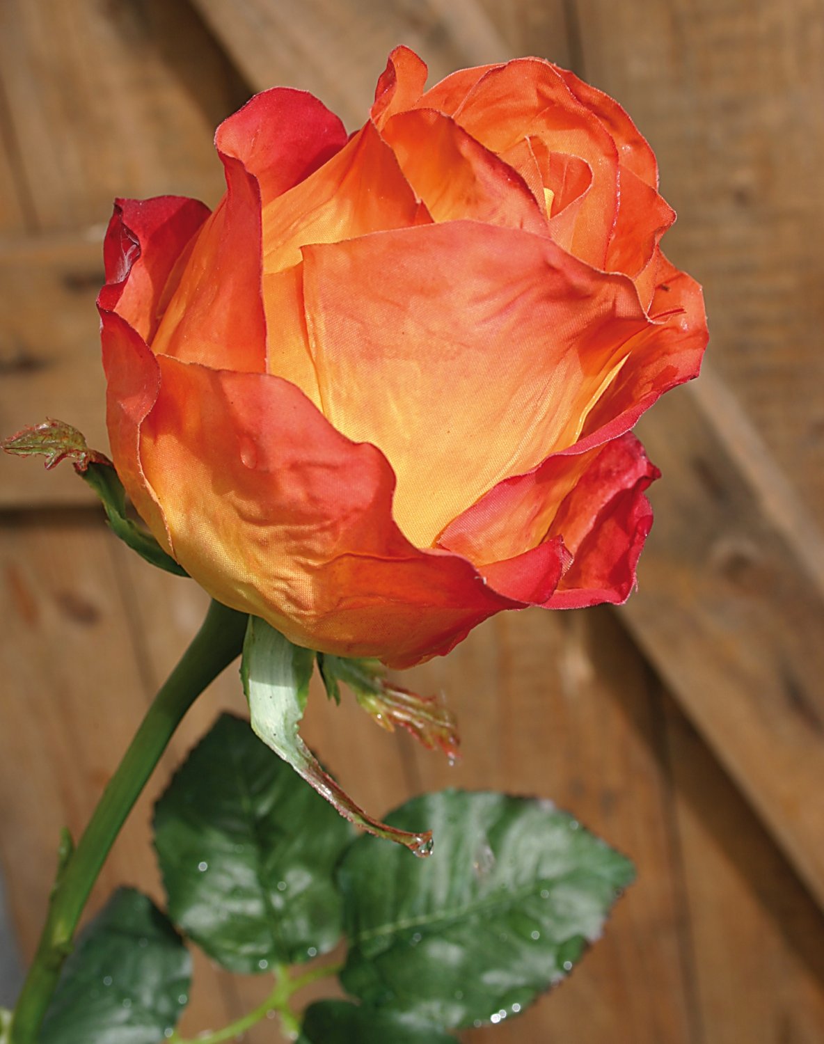 3257 334 a3 Шелковые бутоны роз Equador, 103 см, real touch, оранжевые H-andreas 