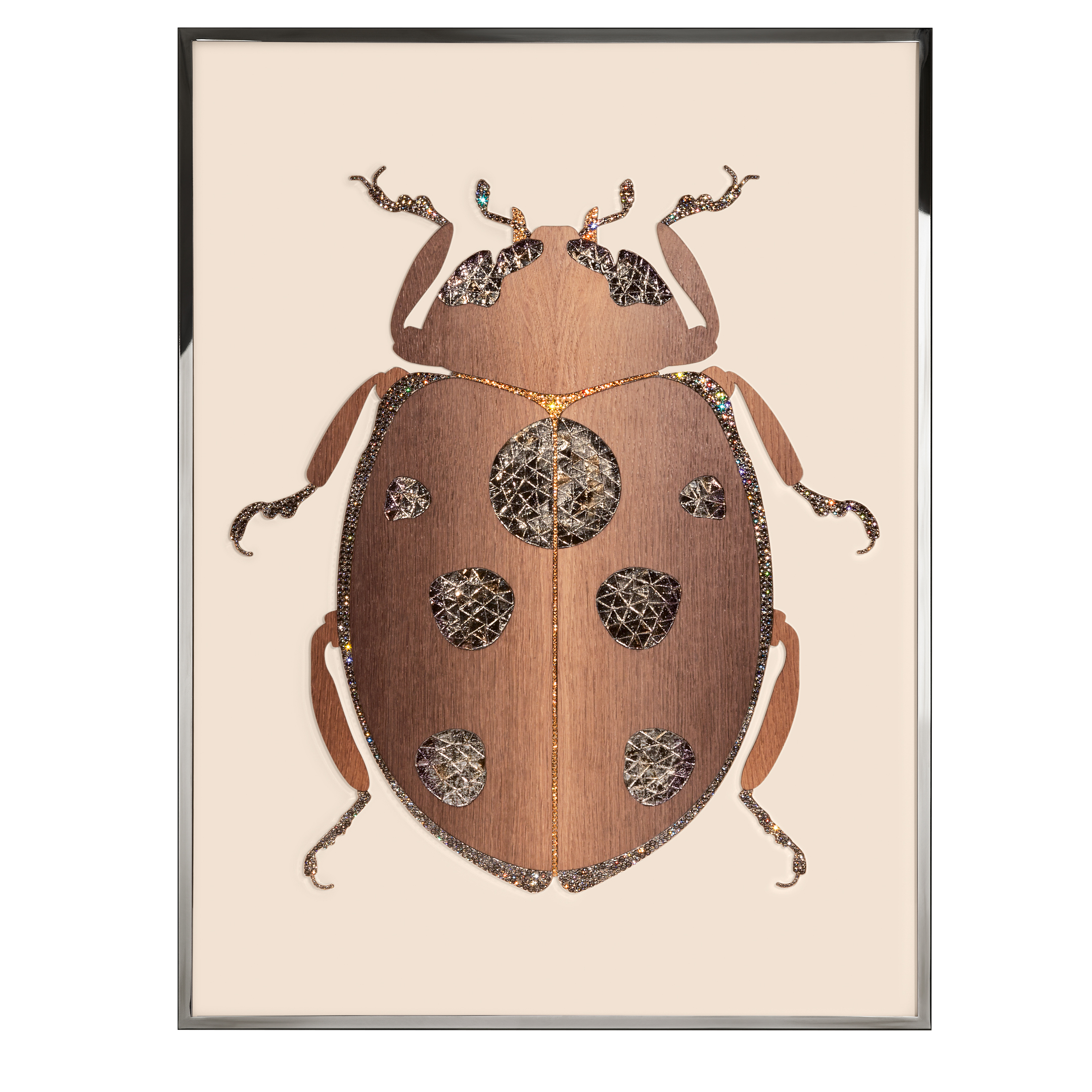 Beetle F Произведение искусства из ископаемого дерева Visionnaire  - Вид №1