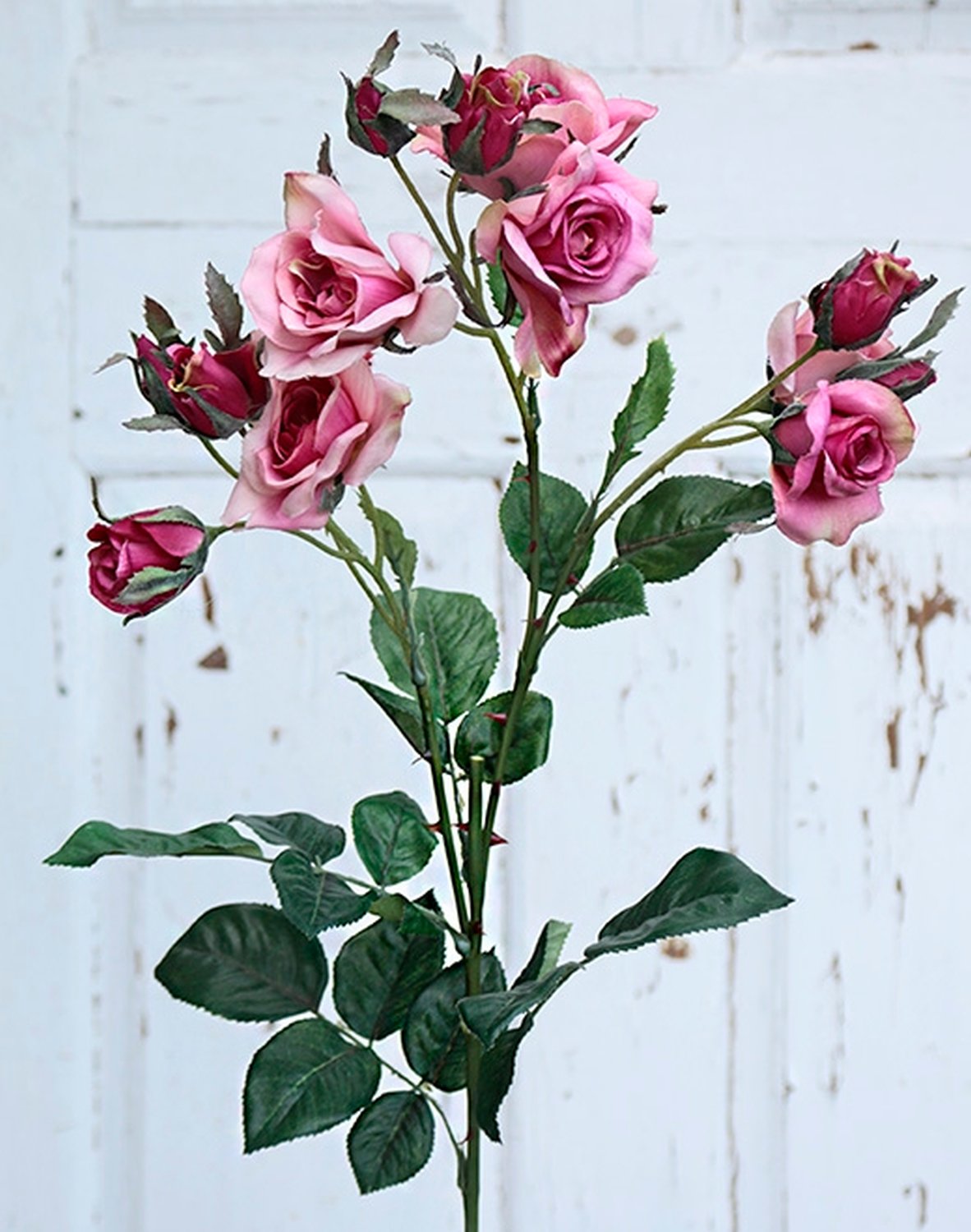 2371 420 a2 Искусственная роза, 75 см, вишня H-andreas  - Вид №1