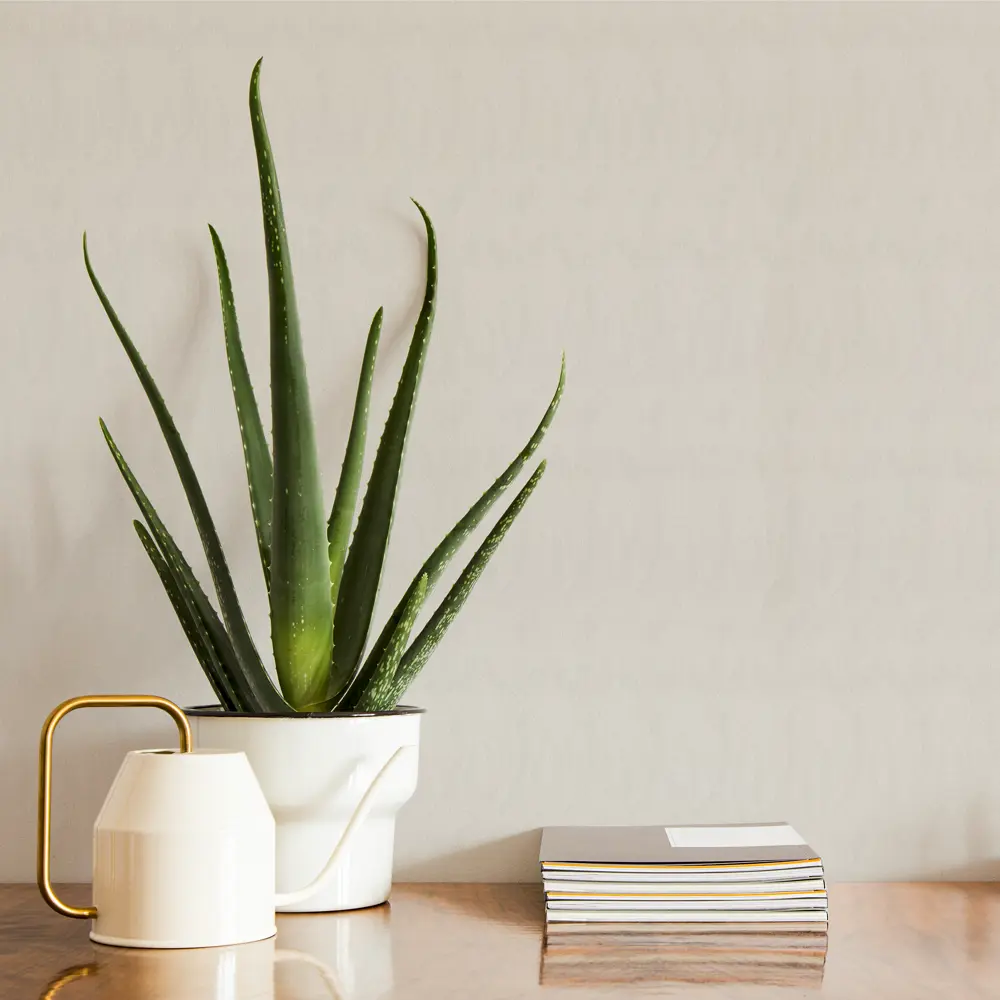 Обои флизелиновые HomeColor Hip-Hop серые 1.06 м 71100-14 PALITRA HOME STLM-2065173 - Вид №2