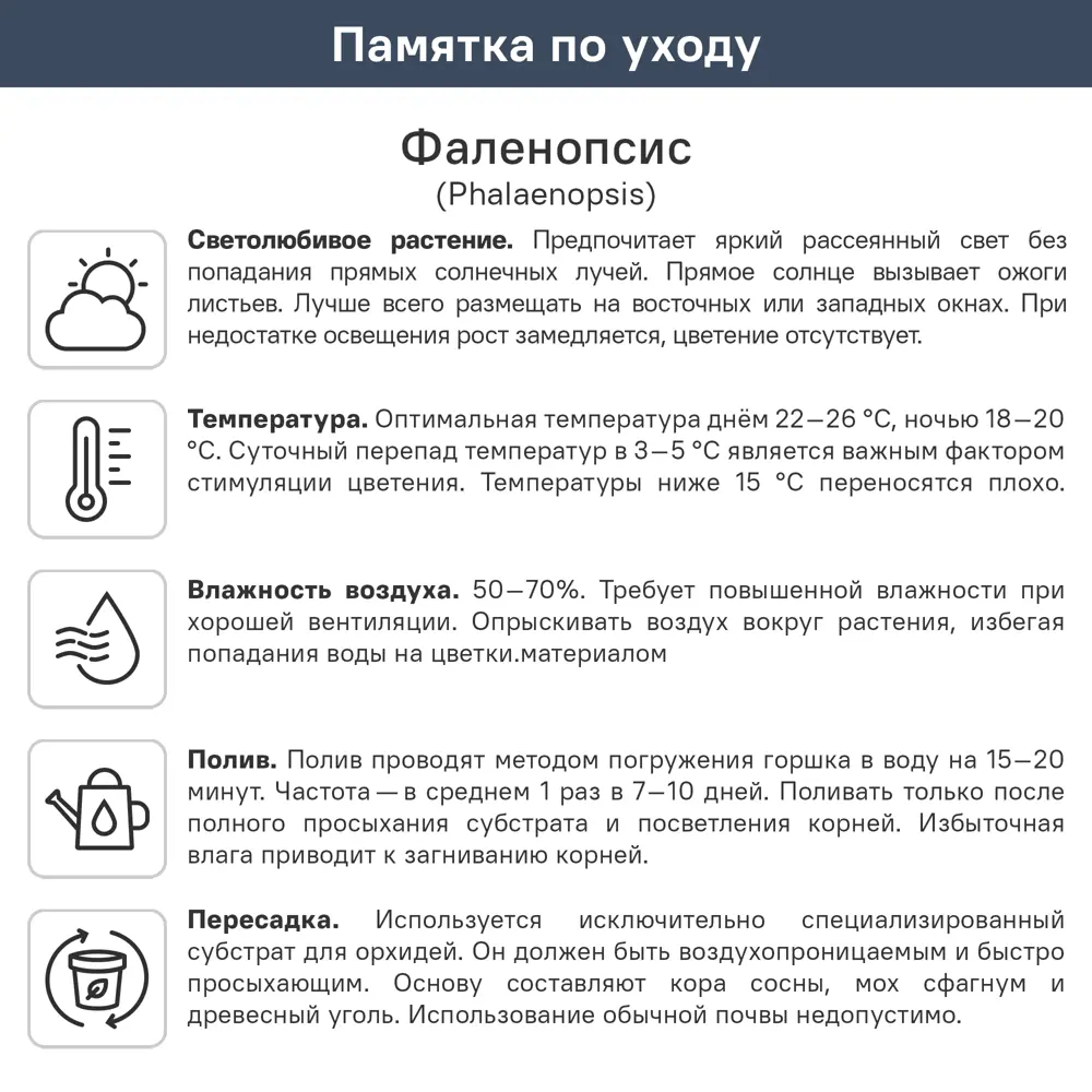 Фаленопсис кашпо ø30 h30 см 89447117 STLM-2111711 ГОРКУНОВ  - Вид №3
