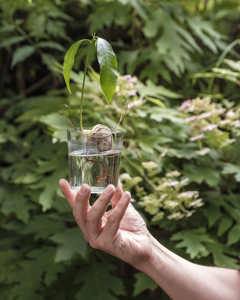 Набор аксессуаров из латуни для растений Michael Anastassiades FLOATING FOREST ARCH-00094864 - Вид №9