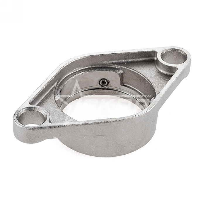 IS1896 Нержавеющий корпус подшипника FL205 SS ISKRA  - Вид №2