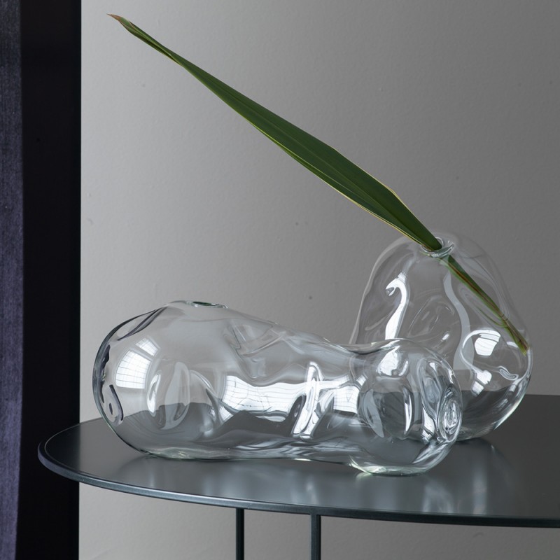 C37X215 Fagiolo Adriani e Rossi 