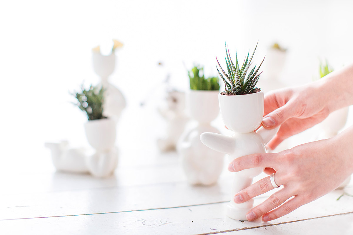 1001 Набор для выращивания eco танцор Экочеловеки  - Вид №4