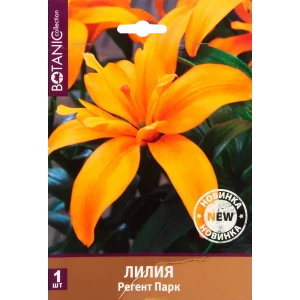 Лилия Регент Пинк 12/14, 1 шт 82539376 STLM-2022648